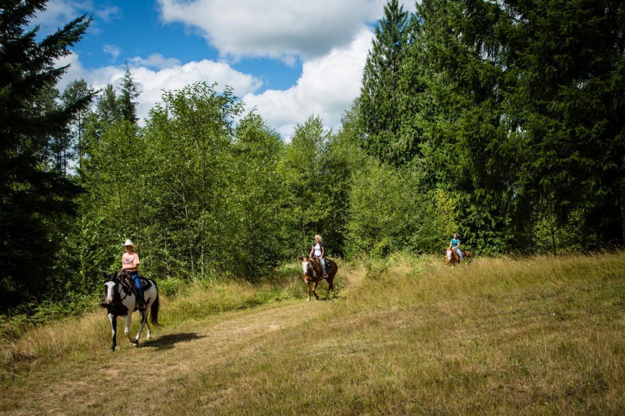 Chehalis Camping Resort Cottage 5 Onalaska Экстерьер фото
